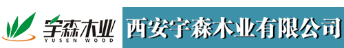 氣體檢測儀